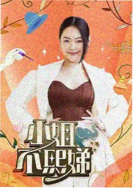 竖屏短剧合租日记海报